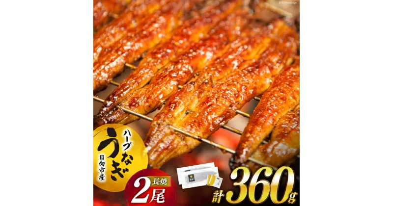 【ふるさと納税】★4.8 うなぎ 鰻楽 宮崎県産 2尾 レビューキャンペーン 計360g 蒲焼 タレ山椒付き ハーブ[鰻楽 宮崎県 日向市 452060537] 真空パック 国産 蒲焼き 長焼き ウナギ 鰻 長蒲焼 冷凍 化粧箱入り 贈答 日向坂 日向坂46駅記念