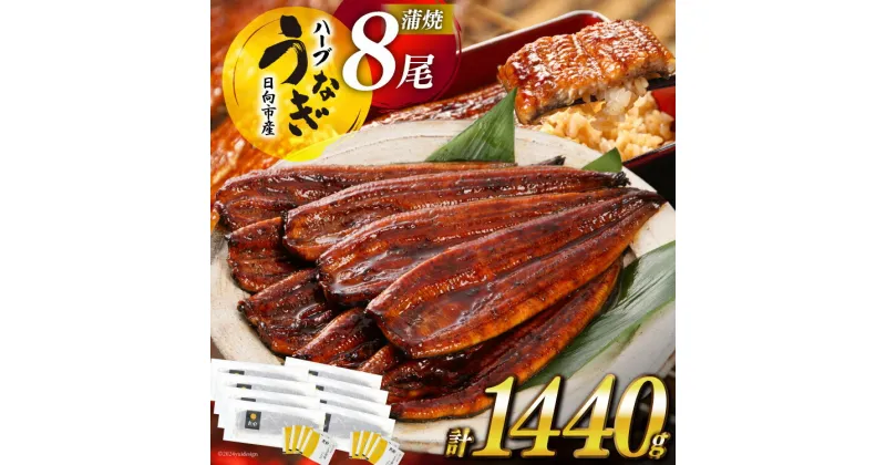 【ふるさと納税】★4.8 うなぎ 鰻楽 宮崎県産 8尾 レビューキャンペーン 計1440g 蒲焼 タレ山椒付き ハーブ[鰻楽 宮崎県 日向市 50-03] 真空パック 国産 蒲焼き 長焼き ウナギ 鰻 長蒲焼 冷凍 化粧箱入り 贈答 日向坂 日向坂46駅記念