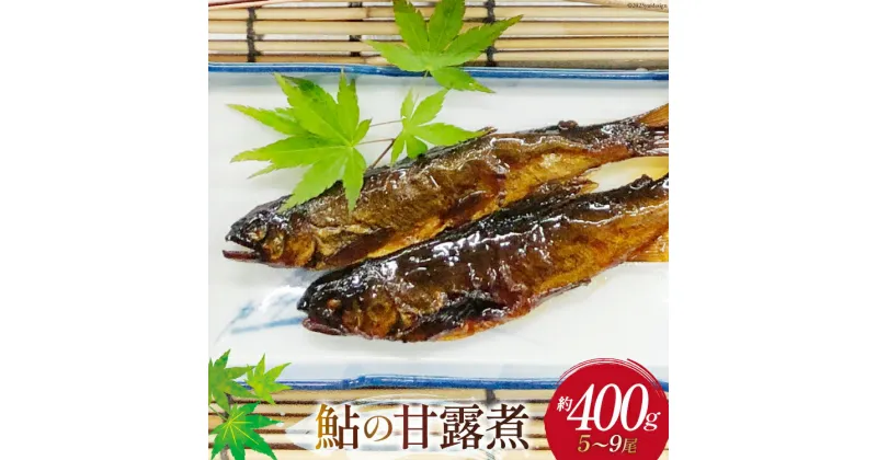 【ふるさと納税】惣菜 鮎の甘露煮 約400g [あゆの是則 宮崎県 日向市 452060876] 魚 魚介 あゆ アユ 真空 常温