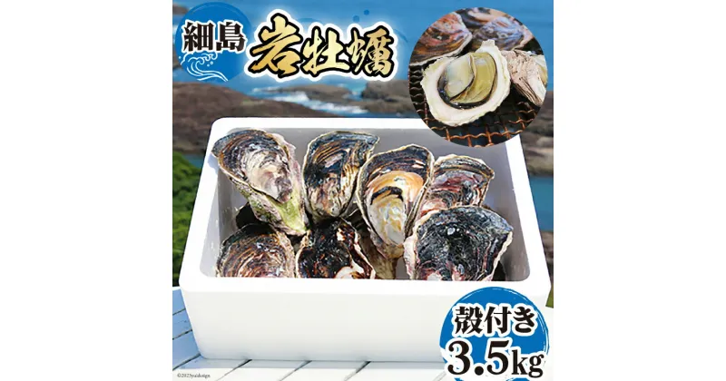 【ふるさと納税】【期間限定発送】岩牡蠣 殻付き 細島 岩ガキ 約3.5kg [道の駅日向 宮崎県 日向市 452060570] いわがき 岩がき 牡蠣 日豊海岸 濃厚 クリーミー