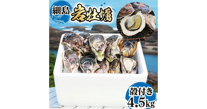 【ふるさと納税】【期間限定発送】岩牡蠣 殻付き 細島 岩ガキ 約4.5kg [道の駅日向 宮崎県 日向市 452060571] いわがき 岩がき 牡蠣 日豊海岸 濃厚 クリーミー