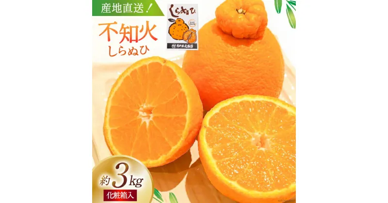 【ふるさと納税】【期間限定発送】じゅわーっと甘い 不知火 約3kg（ハウス栽培・化粧箱入り） [たけちゃん農園 宮崎県 日向市 452060822] 果物 フルーツ 柑橘類