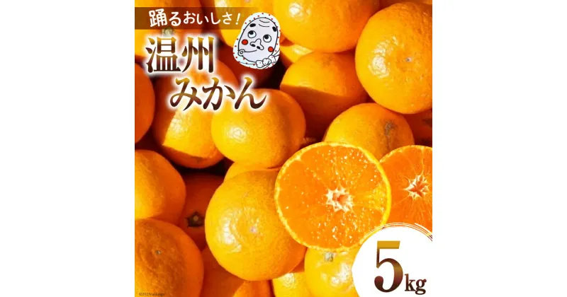 【ふるさと納税】【期間限定発送】踊るおいしさ！甘くてジューシー温州みかん 5kg [奈須農園 宮崎県 日向市 452060932] 果物 フルーツ 柑橘 みかん ミカン