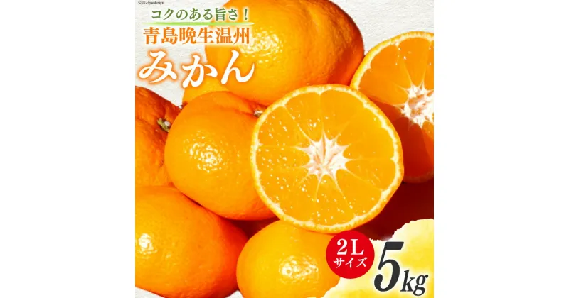 【ふるさと納税】みかん 5kg【期間限定発送】コクのある甘さ うまぁ〜い！！青島晩生温州みかん 2L [黒田農園 宮崎県 日向市 452060135] 果物 フルーツ ミカン 蜜柑 柑橘