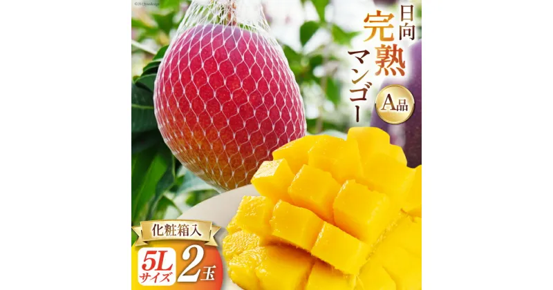 【ふるさと納税】【2025年夏発送】 宮崎 完熟 マンゴー 秀品 A品 5L×2玉 化粧箱入り [宮崎県農業協同組合日向地区本部（販売課） 宮崎県 日向市 452060663] 果物 フルーツ 完熟マンゴー 甘い 日向 化粧箱 期間限定 冷蔵