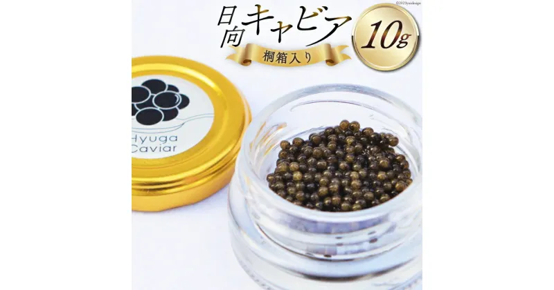 【ふるさと納税】キャビア 日向キャビア (Hyuga Caviar) 10g 桐箱入り [ウィズ・クリエイティブ 宮崎県 日向市 452060890] 冷凍 宮崎 国産 チョウザメ フレッシュ 瓶