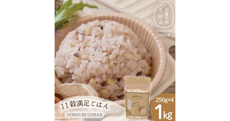 【ふるさと納税】米 無洗米 11穀満足ごはん ごほうびごはん 250g×4 計 1kg [DANBO*DELI 宮崎県 日向市 452060022] 小分け 国産 ブレンド米 雑穀米 こめ コメ 雑穀