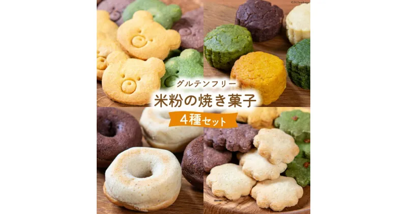 【ふるさと納税】【ヴィーガン・グルテンフリー】米粉の焼き菓子詰め合わせセット [天然酵母の蒸しパン屋もってぃ 宮崎県 日向市 452060164]