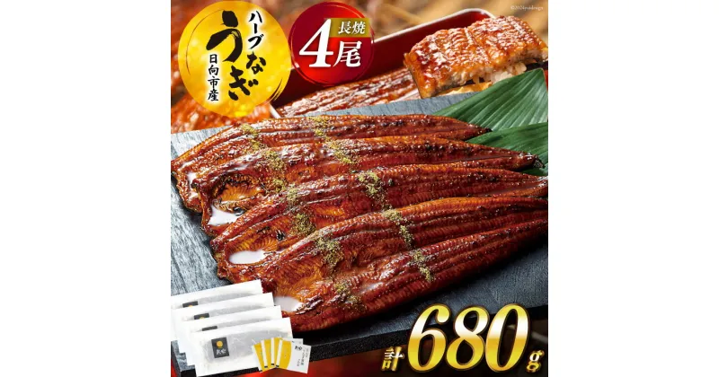 【ふるさと納税】★4.8 うなぎ 鰻楽 宮崎県産 4尾 レビューキャンペーン 計680g 蒲焼 タレ山椒付き ハーブ [鰻楽 宮崎県 日向市 452060538] 真空パック 国産 蒲焼き 長焼き ウナギ 鰻 長蒲焼 冷凍 化粧箱入り 贈答 日向坂 日向坂46駅記念