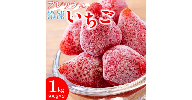 【ふるさと納税】【訳あり】 果物 フレッシュ 完熟 冷凍いちご 500g×2袋 計1kg [亀の子いちご園 宮崎県 日向市 452060853] フルーツ 苺 イチゴ 完熟 新鮮 国産