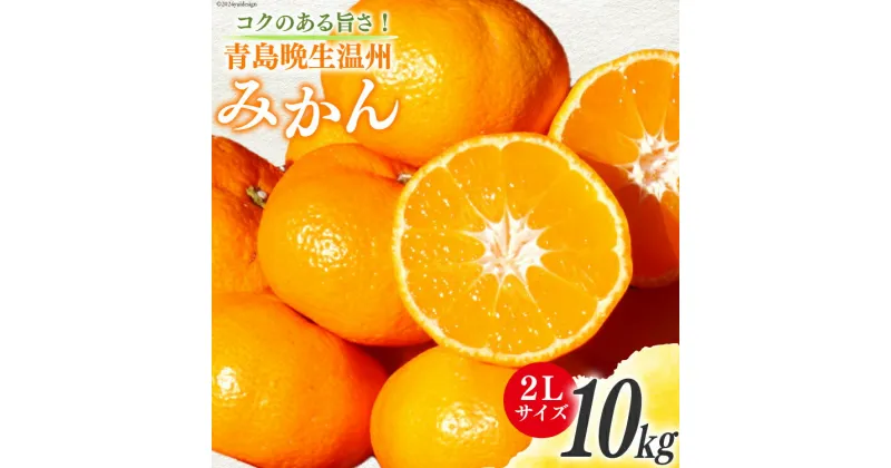 【ふるさと納税】みかん 10kg【期間限定発送】コクのある甘さ うまぁ〜〜い！！青島晩生温州みかん 2L [黒田農園 宮崎県 日向市 452060246] 果物 フルーツ ミカン 蜜柑 柑橘 贈答用