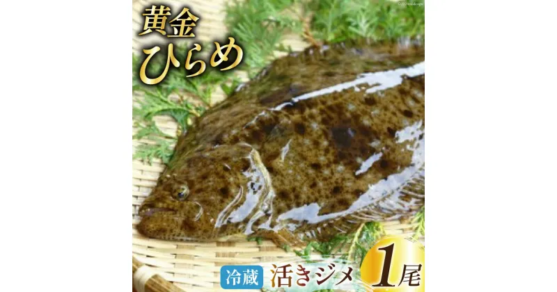 【ふるさと納税】魚 黄金ひらめの活きジメ 1尾 [あゆの是則 宮崎県 日向市 452060877] 魚 魚介 鮮魚 活 ひらめ ヒラメ 平目