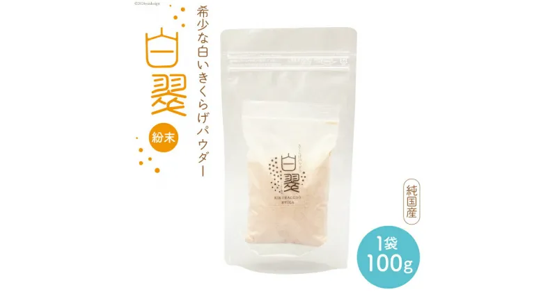 【ふるさと納税】きくらげ 国産 粉末 白 100g×1袋 [きくらげ堂 日向店 宮崎県 日向市 452060435] キクラゲ 木耳 食物繊維 無添加 きのこ 簡易包装 常温