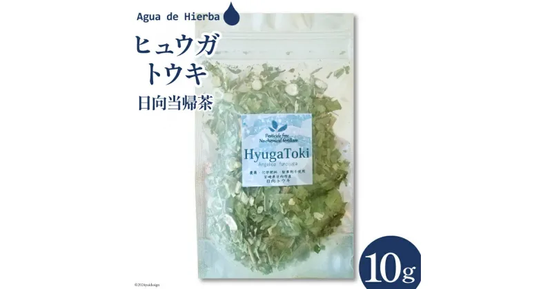 【ふるさと納税】ハーブティー ヒュウガトウキ 10g×1袋 [Agua de Hierba 宮崎県 日向市 452060453] ハーブ 日向当帰 茶 お試し 簡易包装 お茶