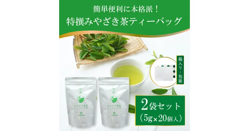 【ふるさと納税】茶 特撰 みやざき 煎茶 ティーバッグ 5g×20個入 計2袋 [谷岩茶舗 宮崎県 日向市 452061008] お茶 日本茶 新茶 簡易包装 一番茶 新茶