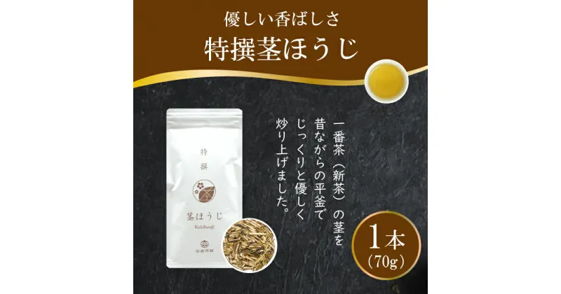 【ふるさと納税】茶 特撰 ほうじ茶 70g×1袋 [谷岩茶舗 宮崎県 日向市 452061006] 日本茶 お茶 茶葉 茎ほうじ 簡易包装 一番茶 新茶