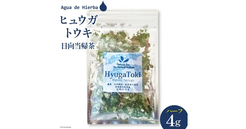 【ふるさと納税】ハーブティー ヒュウガトウキ ハーフサイズ 4g×1袋 [Agua de Hierba 宮崎県 日向市 452060512] ハーブ 日向当帰 茶 ティーバッグ 簡易包装 お茶 お試し