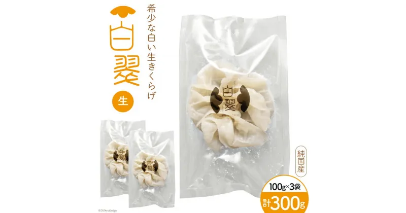 【ふるさと納税】【期間限定発送】きのこ 白 生きくらげ 100g×3袋 [きくらげ堂 日向店 宮崎県 日向市 452060820] キクラゲ 木耳 食物繊維 無添加 きのこ 冷蔵