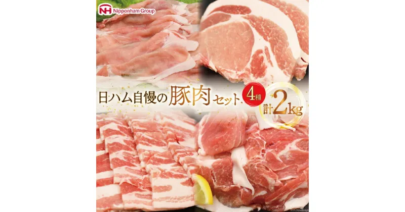 【ふるさと納税】レビューキャンペーン 宮崎県産豚肉4種セット 2kg 小分け とんかつ しゃぶしゃぶ 焼肉 小間切れ[日本ハムマーケティング 宮崎県 日向市 452060687] 肉 豚肉 冷凍 個包装 セット 日向坂 日向坂46駅記念