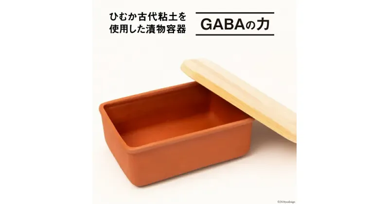 【ふるさと納税】容器 漬け土器 GABAの力 約935g [黒木建設（ひむか古代粘土） 宮崎県 日向市 452060520] 石 漬物 糠漬け お手軽 古代粘土