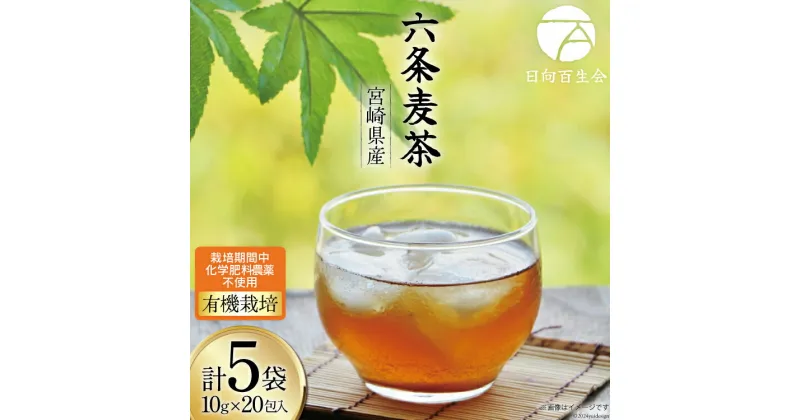 【ふるさと納税】お茶 六条麦茶 （10g × 20包入）計5袋 [日向百生会 宮崎県 日向市 452060516] 麦茶 むぎ茶 水出し 煮出し ティーバッグ 国産 農薬不使用 ノンカフェイン