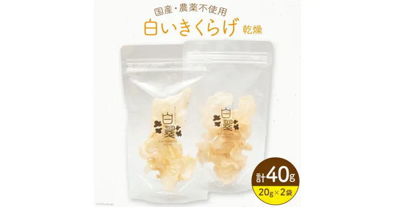 【ふるさと納税】きのこ きくらげ 白いきくらげ 白翠 乾燥 20g ×2袋 [きくらげ堂 宮崎県 日向市 452060689] 国産 キクラゲ 白