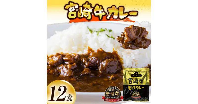 【ふるさと納税】お肉多め！宮崎牛カレー 160g×12袋 レビューキャンペーン レトルト [九州産商 宮崎県 日向市 452061047] 詰め合わせ 小分け ビーフカレー 宮崎 牛 常備食 保存食 中辛 宮崎牛 防災 備蓄 非常食 防災食 簡単調理 レンジ 内閣総理大臣賞 おいしさ日本一