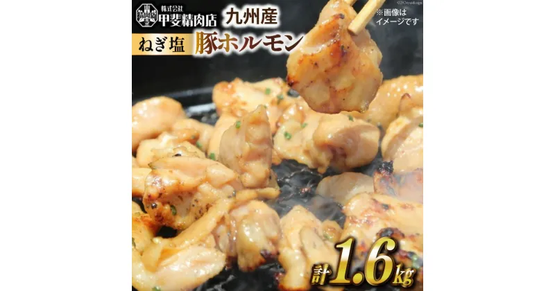 【ふるさと納税】ホルモン 九州産 ねぎ塩 ホルモン 200g 8袋 計 1.6kg [甲斐精肉店 宮崎県 日向市 452060692] 冷凍 個包装 パック 国産 国内産 味付き ねぎ塩 肉