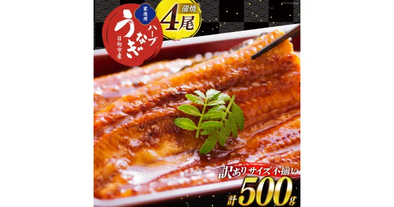 【ふるさと納税】うなぎ 訳あり ハーブ うなぎ蒲焼 4尾 計500g タレ 山椒 付き [鰻楽 宮崎県 日向市 452061068] セット 鰻楽 宮崎県産 真空パック 国産 蒲焼き ウナギ 鰻 長蒲焼 冷凍