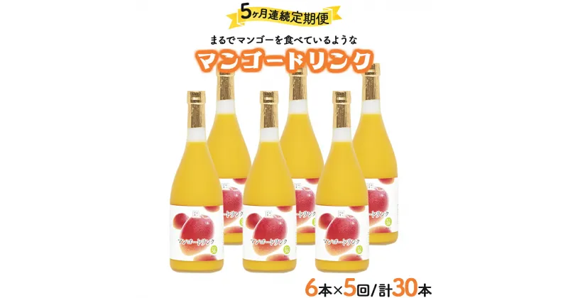 【ふるさと納税】【定期便・全5回】驚きの果実感！マンゴードリンクセット(720ml×6本)×5回【宮崎果汁】【G-I4】