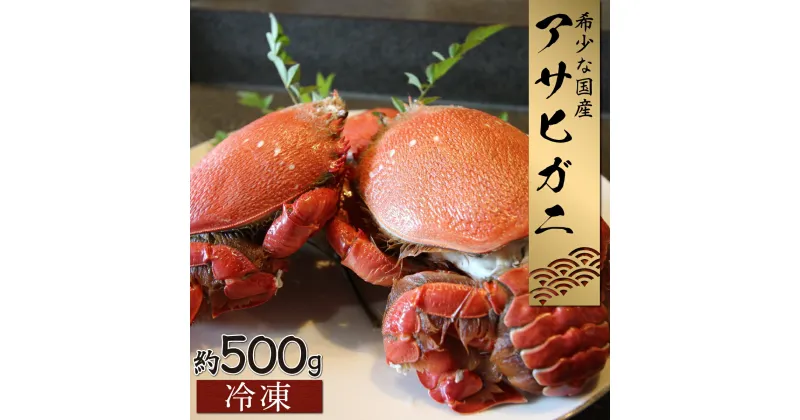 【ふるさと納税】【数量・期間限定】宮崎県串間産アサヒガニ(計約500g)日本では大変希少な国産アサヒガニ ！【豊漁丸】【KU016】