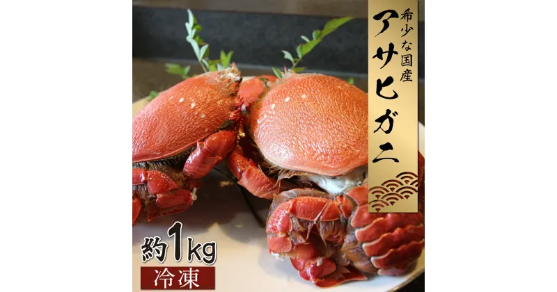 【ふるさと納税】【数量・期間限定】宮崎県串間産アサヒガニ(計約1kg・4～6匹)日本では大変希少な国産アサヒガニ ！【豊漁丸】【KU017】