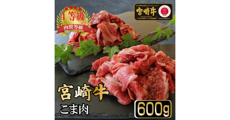 【ふるさと納税】＜宮崎牛＞こま肉300g×2袋（計600g)美味しい牛肉をご家庭で【KU032】