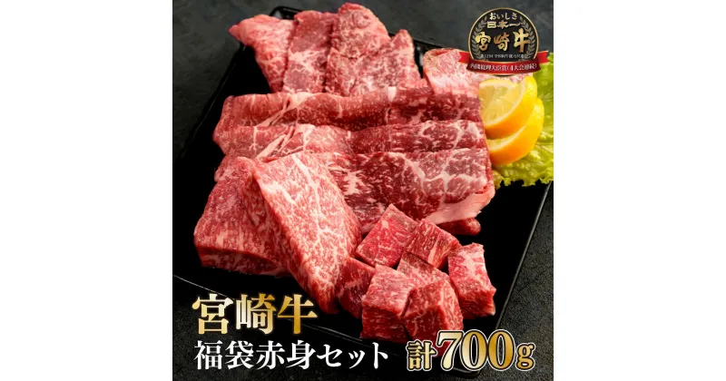 【ふるさと納税】＜宮崎牛＞福袋赤身セット（モモステーキ・モモ焼肉・モモスライス・赤身サイコロ・合計700g)美味しい牛肉をご家庭で【KU039】