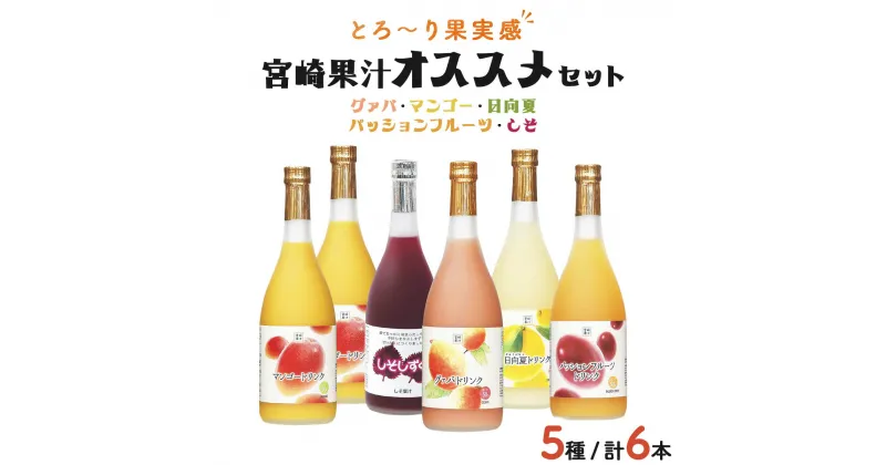 【ふるさと納税】驚きの果実感！ 宮崎果汁オススメセット(720ml×6本) 送料無料 宮崎県 串間市 果物ジュース フルーツジュース 詰め合わせ グァバ マンゴー 日向夏 パッションフルーツ しそしずく お贈り物 ギフト プレゼント【宮崎果汁】【KU101】