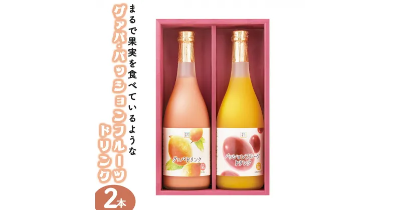 【ふるさと納税】驚きの果実感！グァバ・パッションフルーツドリンク2本セット(各720ml、グァバ、パッションフルーツ)【宮崎果汁】【KU103】送料無料 宮崎県 串間市 贈り物 ギフト おやつ 飲料