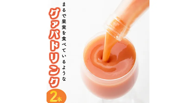 【ふるさと納税】まるで果実を食べているような！ グァバドリンク2本セット (720ml×2本) 【宮崎果汁】【KU109】 送料無料 宮崎県 串間市 果物ジュース フルーツジュース 贈り物 ギフト 自社農園 フレッシュ おやつ