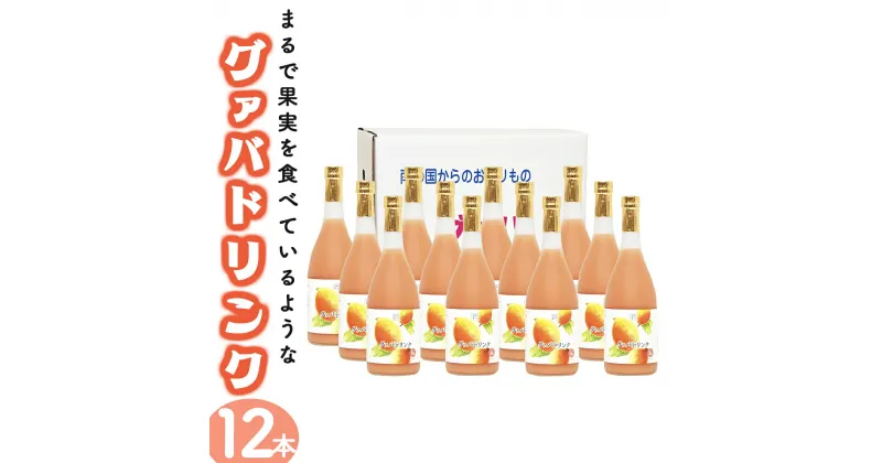 【ふるさと納税】まるで果実を食べているような！グァバドリンク12本セット各720ml)おすそ分け箱・袋付【宮崎果汁】【KU113】 送料無料 宮崎県 串間市 フルーツジュース 果物ジュース 贈り物 ギフト おやつ 飲料 ジュース