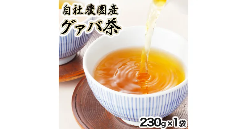 【ふるさと納税】宮崎県串間市産 グァバ茶 (230g×1袋) 自社農園産100% 【宮崎果汁】【KU114】 送料無料 宮崎県 串間市 お茶 ホット アイス 自社農園産 茶葉