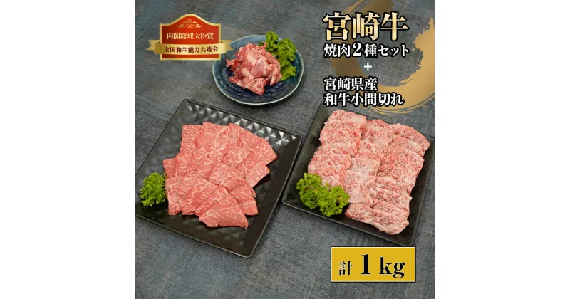 【ふるさと納税】宮崎牛と宮崎県産和牛小間切れセット 計1kg (宮崎牛モモ焼肉400g×1、宮崎牛バラ焼肉400g×1、宮崎県産和牛小間切れ100g×2)【KU319】