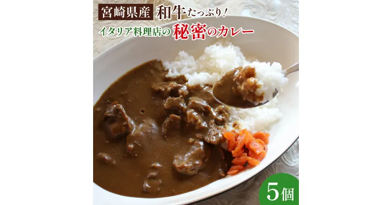 【ふるさと納税】南国の宮崎でひっしで働いてきたイタリア料理店の秘密のカレー 900g（180g×5パック）温めるだけの簡単レトルトカレー！瞬間冷凍だからイタリアンシェフの味をそのままおうちで味わえる！ お手軽品【タヴェルナアルポルト】【KU398】