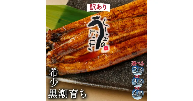 【ふるさと納税】【訳あり・数量限定】選べる！くしまの黒潮うなぎ蒲き【大田商店】【KU468】