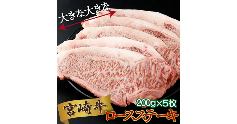 【ふるさと納税】選べる発送月！宮崎県産 宮崎牛ロースステーキ 200g×5枚（合計1kg）国産牛 冷凍 真空パック 和牛 焼き肉 焼肉 BBQ バーベキュー ステーキ ロース【KU479】