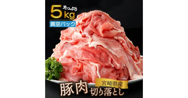 【ふるさと納税】【真空パック・発送時期が選べる】宮崎県産 豚肉切り落とし 250g×20パック 合計5kg 国産豚 冷凍 真空パック 小分け 生姜焼き カレー シチュー 豚丼【KU481】