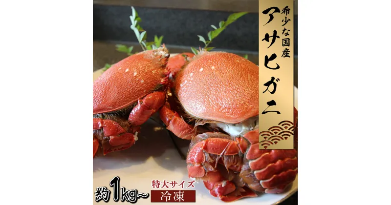 【ふるさと納税】【数量・期間限定】宮崎県串間産　アサヒガニ　特大サイズ約1kg〜2kg（2〜3匹）日本では大変希少な国産アサヒガニ ！【豊漁丸】【HRAGT-0】