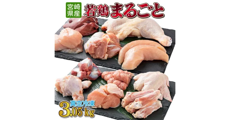 【ふるさと納税】若鶏まるごと3.05kgセット 真空パック カット済 小分け 肉 切身 鶏肉セット 若鶏 もも切身 ムネ肉 ささみ 砂肝 手羽先 冷凍 料理 おかず BBQ おすすめ 宮崎県産 国産 送料無料【TRT06】