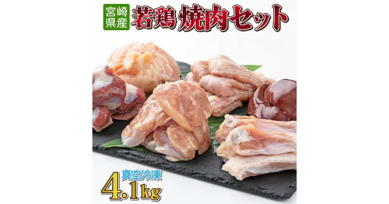 【ふるさと納税】若鶏焼肉4.1kgセット 真空パック カット済 小分け 肉 切身 鶏肉セット 若鶏 もも切身 小肉 肩肉 チキンリブ 砂肝 肝 冷凍 料理 おかず BBQ おすすめ 宮崎県産 国産 送料無料【TRT08】