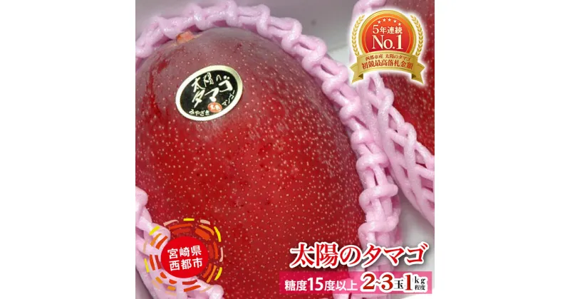 【ふるさと納税】完熟マンゴー「太陽のタマゴ」約1kg（JA西都）令和7年収穫分【楽天限定】【先行予約】宮崎県 西都産