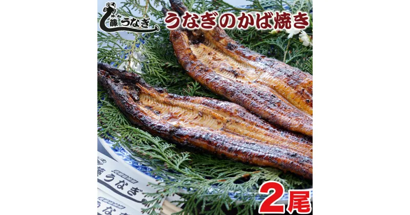 【ふるさと納税】藤うなぎ かば焼き（2尾） 国産 うなぎ 手焼き 炭火焼 送料無料 宮崎県 西都市