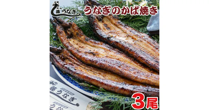 【ふるさと納税】藤うなぎ かば焼き（3尾）国産 うなぎ 手焼き 炭火焼 蒲焼 送料無料 宮崎県 西都市